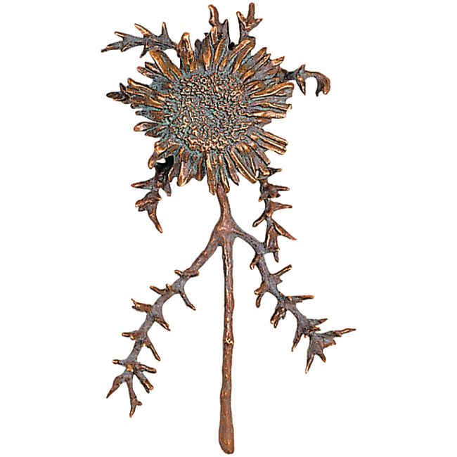 Silberdistel