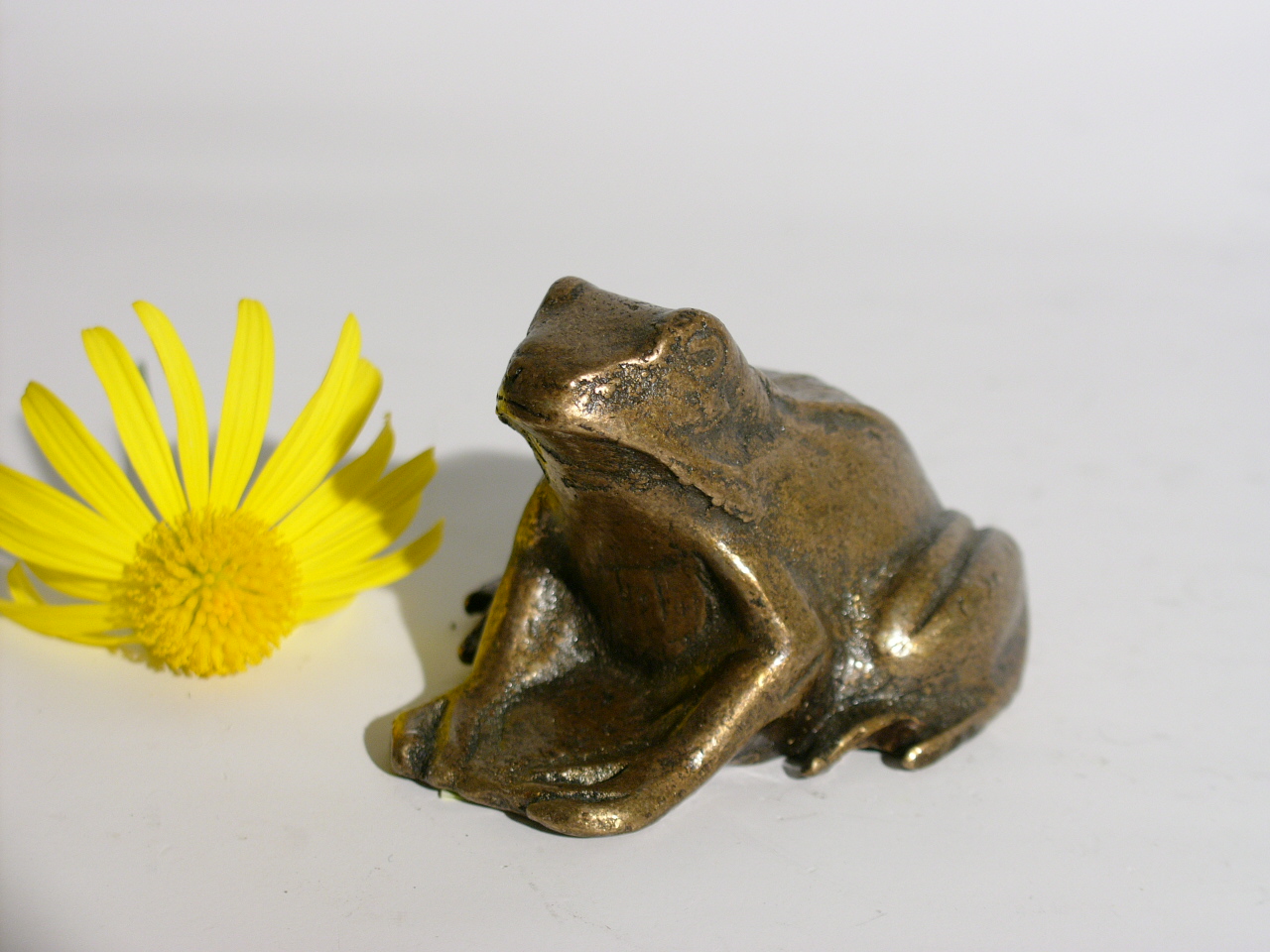 Frosch