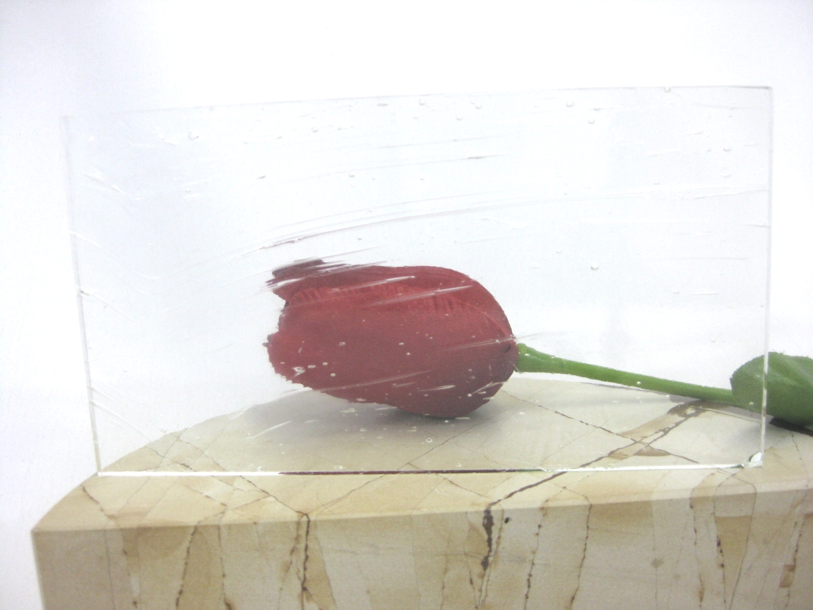 Große Ersatzscheibe 23,5 x 14 cm
