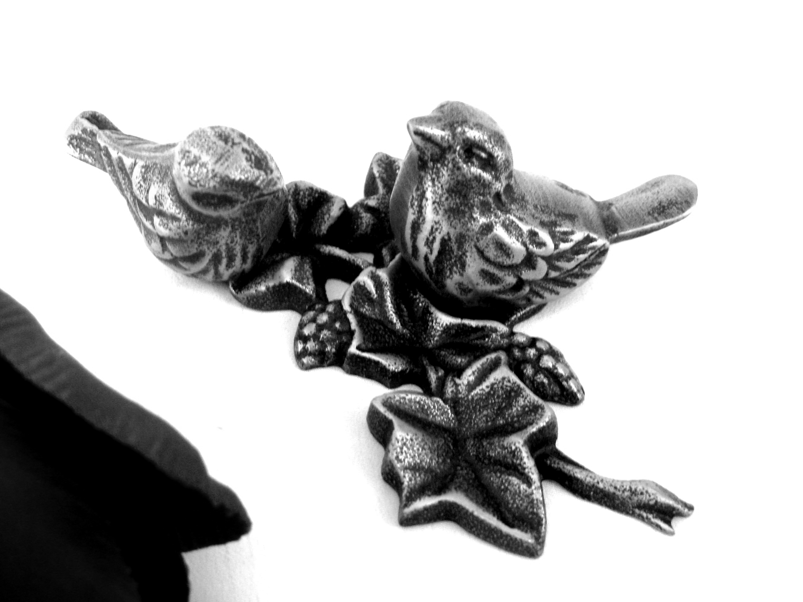 Efeu mit Vogelpaar