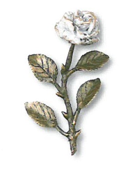 Weiße Rose in 5 Größen